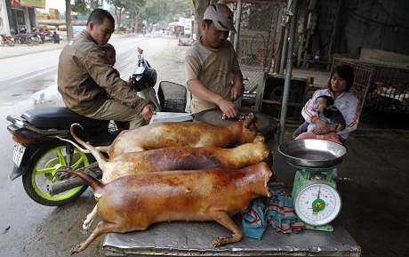 Thịt chó làm sẵn được bày bán tại làng Dương Nội, Hà Đông, Việt Nam. Thịt chó là món ăn được yêu thích ở nhiều nước Đông Nam Á.