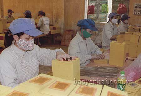 Công nhân chuyên nghiệp tại Nhà máy gia công giấy xuất khẩu Nguyễn Phúc (thành phố Yên Bái) luôn được trang bị đầy đủ bảo hộ lao động.