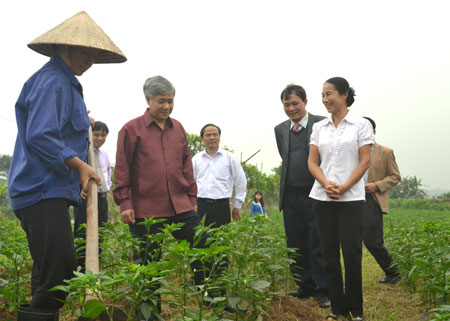 Các đồng chí lãnh đạo tỉnh thăm mô hình trồng ớt tại xã Tuy Lộc thành phố Yên Bái.