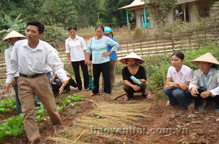 Cán bộ khuyến nông hướng dẫn hội viên phụ nữ kỹ thuật trồng rau tại xã Bảo Ái.