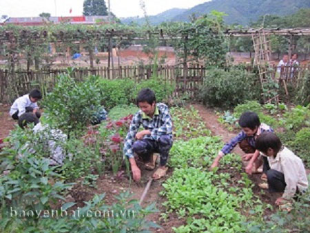 Học sinh Trường Phổ thông dân tộc bán trú THCS xã Phong Dụ Thượng trồng rau xanh cải thiện bữa ăn.
