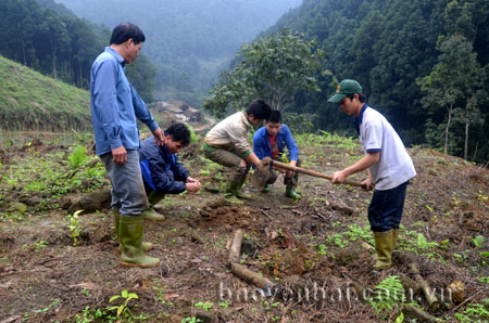 Nông dân xã Đào Thịnh trồng rừng vụ xuân.