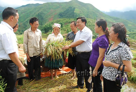 Lãnh đạo UBND, Mặt trận Tổ quốc, Phòng Dân tộc huyện xuống cơ sở thăm hỏi, động viên đồng bào Mông thu hoạch lúa xuân, sản xuất vụ mùa.
