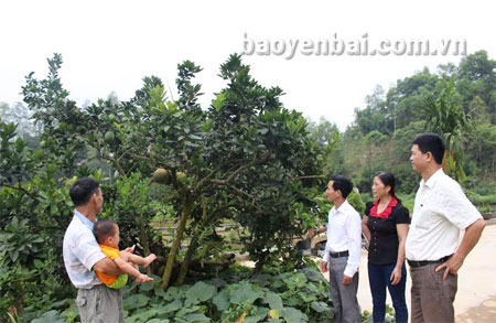 Cán bộ Hội Nông dân xã Hưng Thịnh tham quan vườn cây ăn quả của gia đình anh Mai Văn Tình ở thôn Trực Chính.
