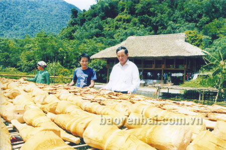 Măng mai Lâm Thượng đang là sản phẩm nông nghiệp hàng hóa mang lại giá trị kinh tế cao cho nông dân.