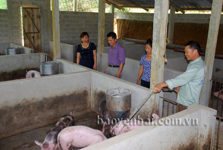 Thường trực HĐND huyện Yên Bình, nắm bắt tình tình thực hiện chính sách hỗ trợ chăn nuôi của tỉnh tại xã Phú Thịnh. 
