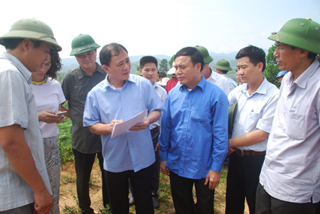 Đồng chí Phạm Duy Cường - Bí thư Tỉnh ủy và đoàn công tác khảo sát thực địa ở xã Đông An, huyện Văn Yên.