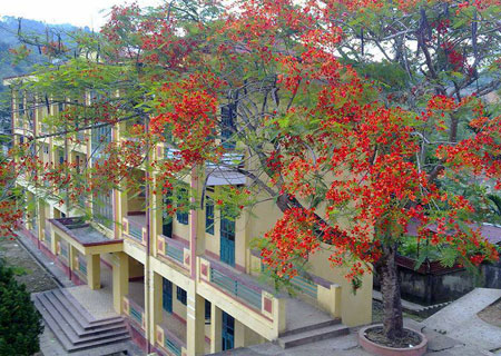 Một góc Trường THPT Văn Chấn.
