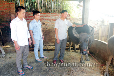 Ông Hà Văn Tâm (phải) nhiễm chất độc da cam, vẫn vượt lên khó khăn cùng gia đình phát triển chăn nuôi, nâng cao thu nhập.