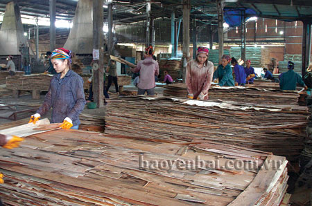 Người lao động trong Công ty TNHH Doanh Mùi ở xã Hưng Thịnh, Trấn Yên được trả lương từ 4 - 7 triệu đồng/người/tháng, tuỳ vào vị trí công việc.

