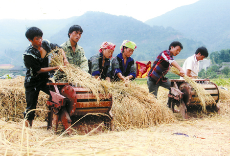 Dưới sự lãnh đạo của Đảng bộ tỉnh Yên Bái, đồng bào vùng cao đã chuyến biến căn bản về phương thức sản xuất.