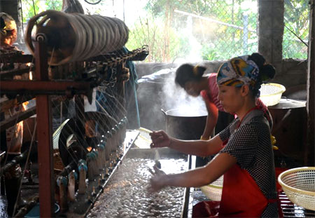 Xã Việt Thành khuyến khích nhân dân đầu tư trồng dâu nuôi tằm và chế biến kén tằm.