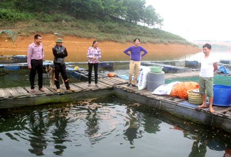Tận dụng lợi thế mặt nước hồ Thác Bà, nhân dân xã  Thịnh Hưng phát triển nghề nuôi cá lồng mang lại hiệu quả kinh tế cao.