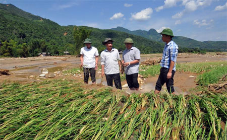 Giám đốc Sở Nông nghiệp và Phát triển Nông thôn Trần Thế Hùng (thứ hai bên phải) kiểm tra, chỉ đạo khôi phục sản xuất tại xã Sơn Lương, huyện Văn Chấn.