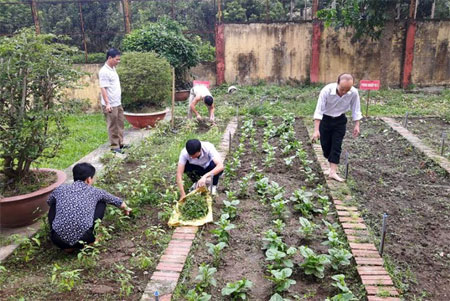 Đoàn viên CĐCS Thanh tra tỉnh chăm sóc vườn rau tại cơ quan vào cuối giờ làm việc hàng ngày.
