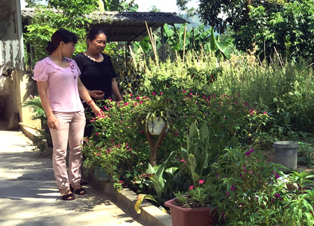 Hội Phụ nữ tỉnh phát huy vai trò dân vận khéo xây dựng mô hình nhà sạch vườn  đẹp  Hội phụ nữ tỉnh Ninh Bình