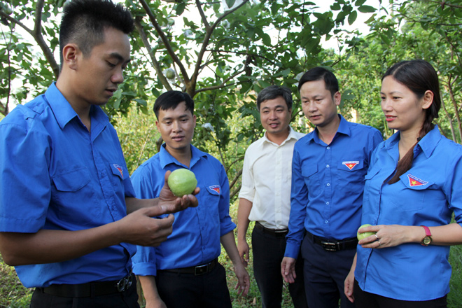 Lãnh đạo Tỉnh đoàn thăm mô hình phát triển kinh tế tại xã Vân Hội, huyện Trấn Yên.