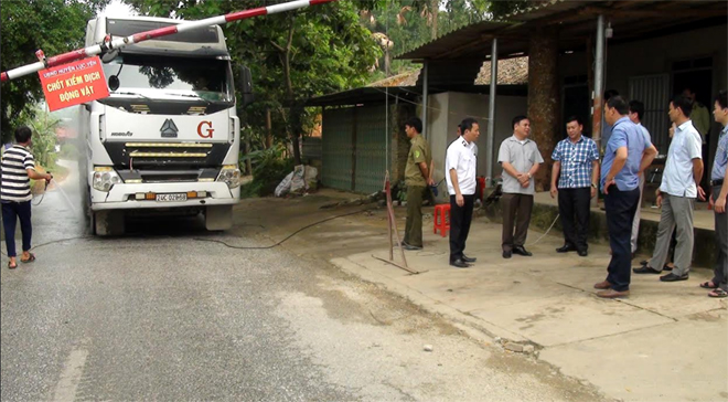 Đoàn công tác tỉnh kiểm tra, giám sát công tác phòng, chống bệnh dịch tả lợn châu Phi tại huyện Lục Yên
