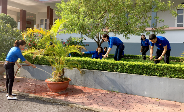 Đoàn viên, thanh niên Sở Tư pháp chăm sóc mô hình vườn cây thanh niên.