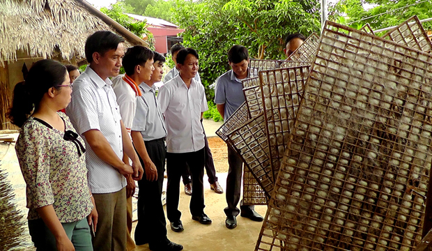 Lãnh đạo huyện Trấn Yên tham quan mô hình né tằm gỗ ô vuông ở Việt Thành