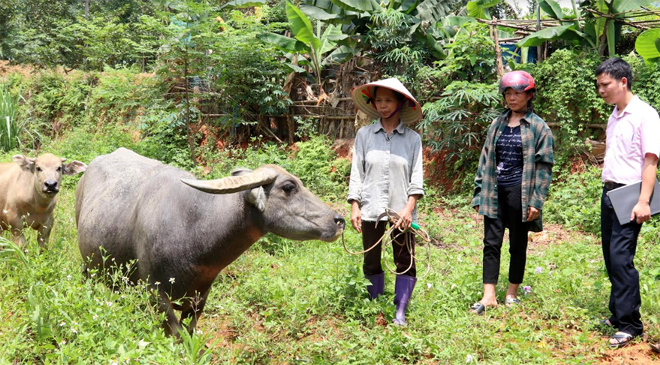 Cán bộ Phòng Giao dịch NHCSXH huyện Lục Yên kiểm tra việc sử dụng vốn của người vay theo mức  mới ở xã Tân Lĩnh.