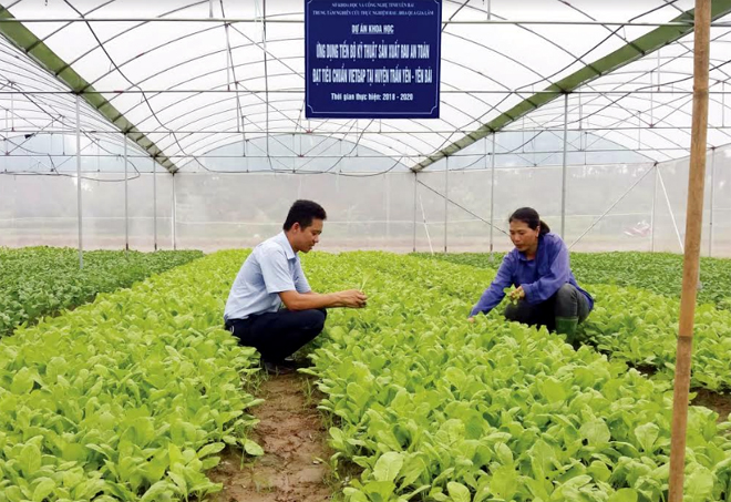 Sản xuất rau an toàn  xu thế mới của nông nghiệp công nghệ cao  Báo Bắc  Kạn điện tử