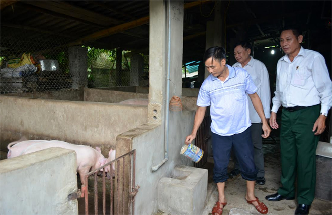 Nạn nhân nhiễm chất độc da cam chăn nuôi phát triển kinh tế, ổn định cuộc sống.