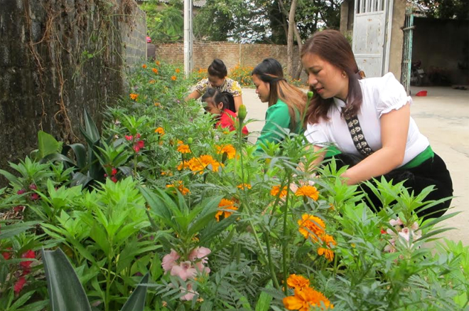 Mô hình trồng hoa trên tuyến đường phụ nữ tự quản của Chi Hội Phụ nữ thôn Chao Hạ, xã Nghĩa Lợi.