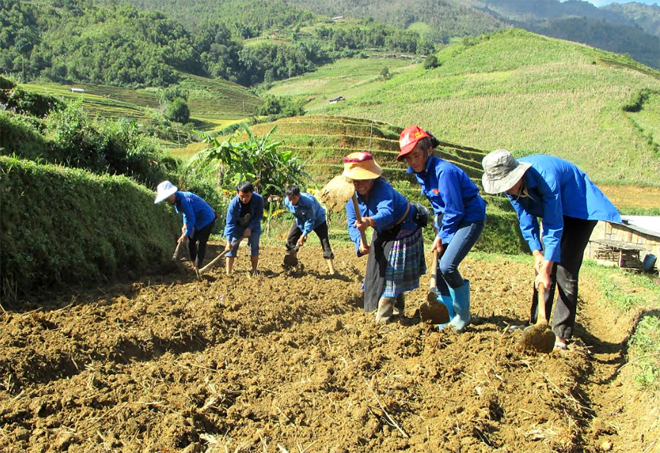 Đoàn viên thanh niên huyện Mù Cang Chải tình nguyện giúp nhân dân mở rộng diện tích ruộng bậc thang tại xã Chế Cu Nha.