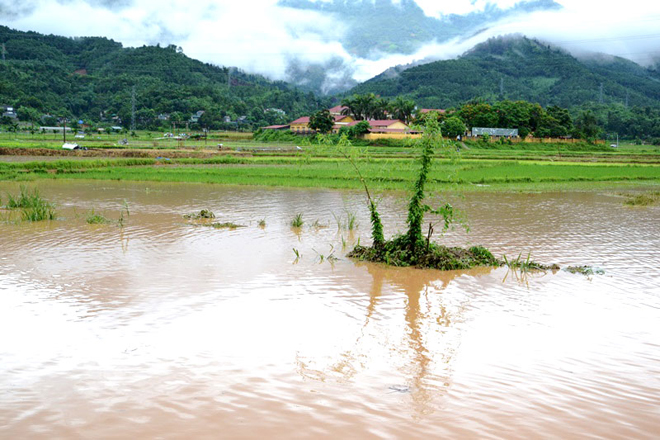 Mưa lớn làm ngập úng, gây nhiều thiệt hại ở xã Quang Kim (Bát Xát - Lào Cai).