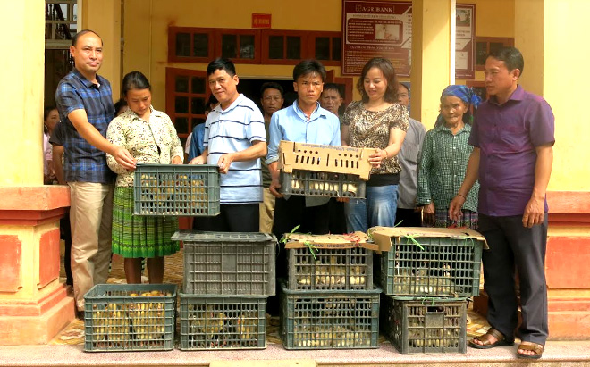 Đồng chí Đinh Bá Thanh - Phó Bí thư Đảng ủy, Chủ tịch Công đoàn cơ sở Kho bạc Nhà nước Yên Bái cùng đoàn công tác trao tặng ngan giống cho các hộ dân