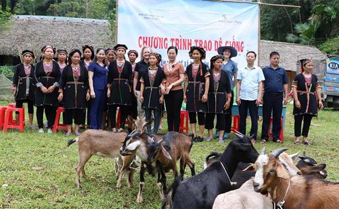 Hội Liên hiệp Phụ nữ huyện Yên Bình phối hợp với Tỉnh hội triển khai Dự án Ngân hàng dê tại xã Cảm Nhân, huyện Yên Bình trao 180 con dê giống cho 45 hộ nghèo hỗ trợ sinh kế cho các hội viên.