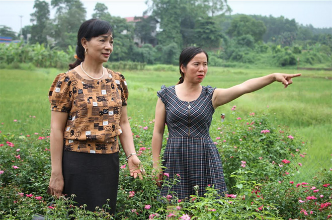 Chị Nguyễn Thị Nhường (bên phải) là tấm gương sáng về vượt khó vươn lên phát triển kinh tế ở xã Tuy Lộc.
