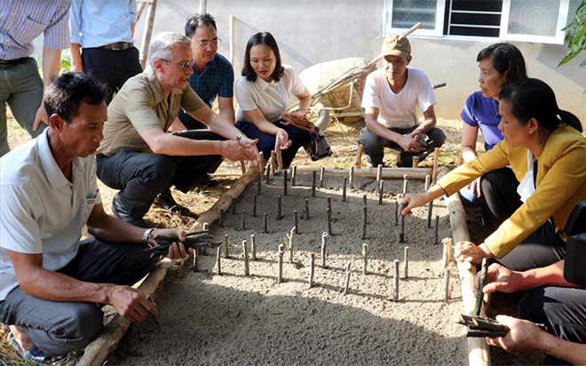 Hội Nông dân tỉnh phối hợp với các chuyên gia Chương trình FFF phổ biến kỹ thuật trồng cây lá khôi cho hội viên nông dân xã Đào Thịnh, huyện Trấn Yên.