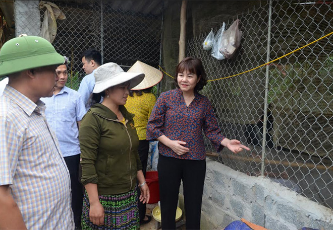 Đồng chí Hoàng Thị Thanh Bình - Phó Chủ tịch HĐND tỉnh giám sát thực hiện chính sách đặc thù hỗ trợ sản xuất nông nghiệp năm 2020 để ứng phó với dịch bệnh Covid-19.