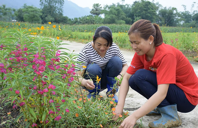 Phụ nữ xã Mai Sơn tích cực chăm sóc các tuyến đường hoa.