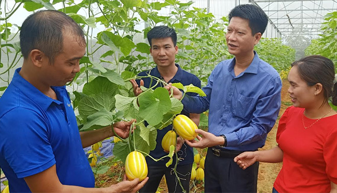 Trấn Yên tích cực áp dụng khoa học công nghệ vào sản xuất nông nghiệp, xây dựng vùng sản xuất hàng hóa, đáp ứng nhu cầu thị trường.