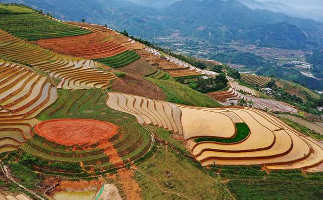 Ruộng bậc thang Phong Dụ Thượng - điểm mới về phát triển kinh tế gắn với làm du lịch.