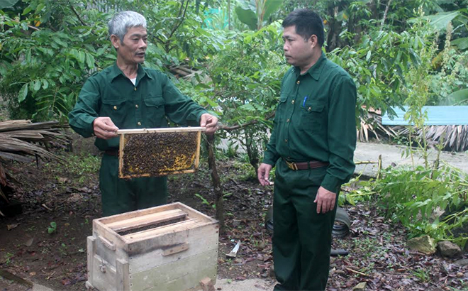 Một mô hình nuôi ong cho thu nhập gần 100 triệu đồng/năm của hội viên cựu chiến binh huyện Lục Yên.