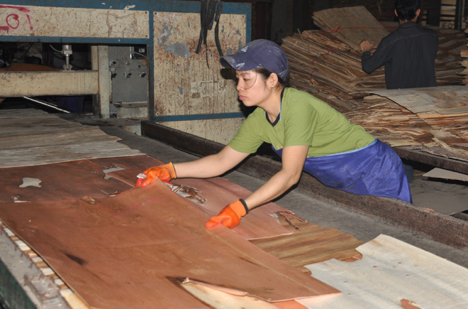 Những năm qua, tỉnh Yên Bái luôn coi trọng thu hút đầu tư chế biến sâu nguyên liệu gỗ rừng trồng. Ảnh: Thành Trung.