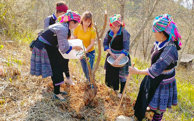 Members of the union’s chapter in Mu Cang Chai district join a campaign of planting 5000 to day trees in the area.
