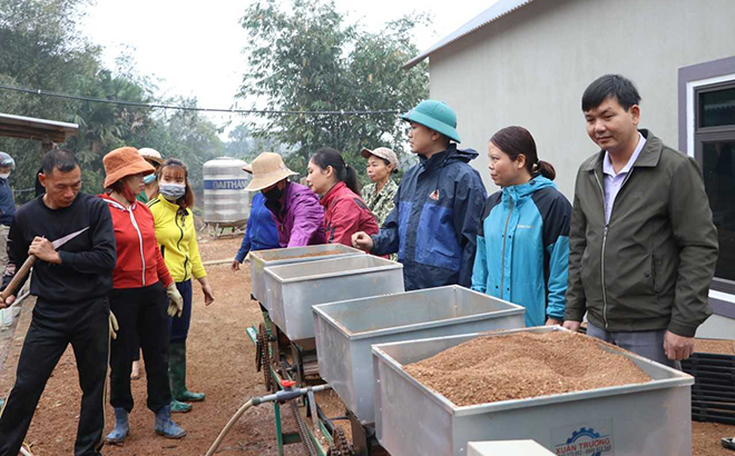 Nông dân Trấn Yên thu hoạch lúa bằng máy gặt đập liên hợp.