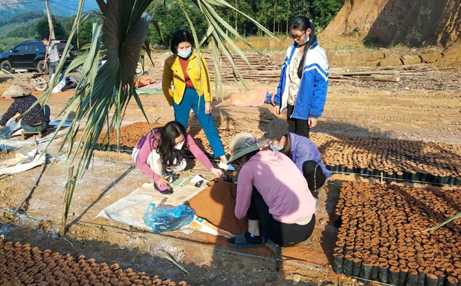 Thành viên nhóm sáng kiến xây dựng vườn ươm khôi nhung tại xã Đào Thịnh triển khai các công đoạn ươm giống.