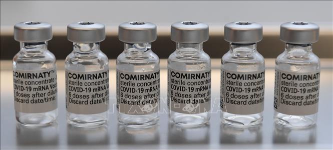 Vaccine ngừa COVID-19 của Pfizer-BionTech. Ảnh minh họa