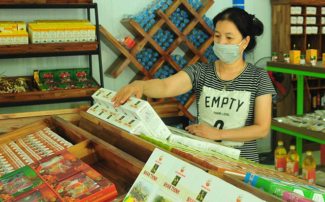 Gian hàng giới thiệu các sản phẩm OCOP tại phường Đồng Tâm, thành phố Yên Bái.