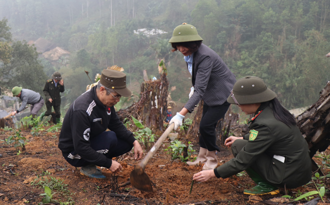 Cán bộ Kiểm lâm huyện Trấn Yên hướng dẫn người dân xã Việt Hồng, huyện Trấn Yên kỹ thuật trồng tre măng Bát Độ.