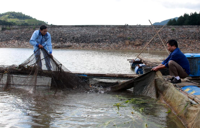 Người dân nuôi cá lồng tại khu vực chứa nước đập thủy điện Khao Mang Thượng, huyện Mù Cang Chải. Ảnh minh họa