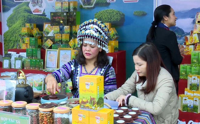 Chị Lâm Thị Kim Thoa giới thiệu với du khách về sản phẩm Trà Shan tuyết Suối Giàng
