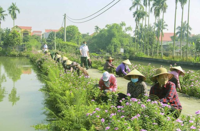 Nông thôn mới mang lại diện mạo tươi đẹp cho làng quê và gắn kết cộng đồng người dân cùng phát triển kinh tế - Ảnh minh họa