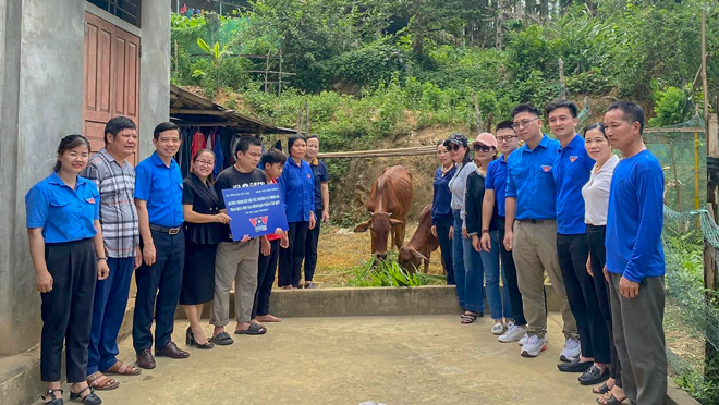 Đoàn thiện nguyện VOV giao thông trao tặng 1 cặp bò giống và tiền mặt tổng giá trị trên 25 triệu đồng cho gia đình anh Trần Văn Quý ở thôn Đồng Chùa, xã Vĩnh Kiên.